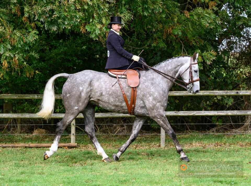 Side saddle showing at FLintham Show