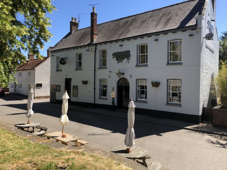 durham ox, orston durham ox, orston