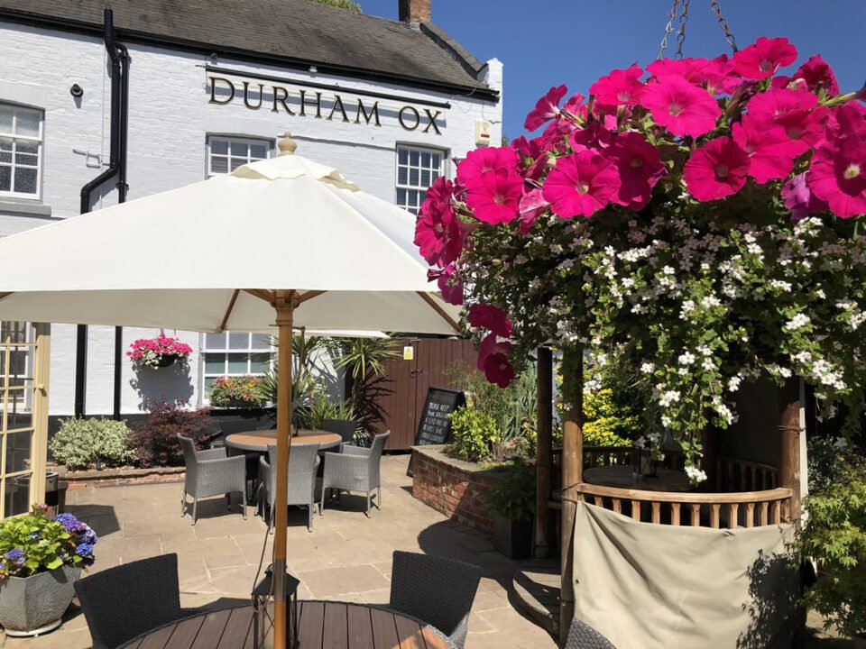 The Durham Ox, Orston
