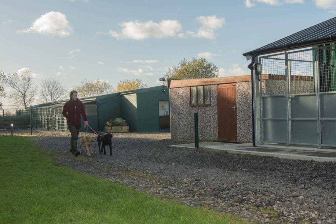Old Station Kennels