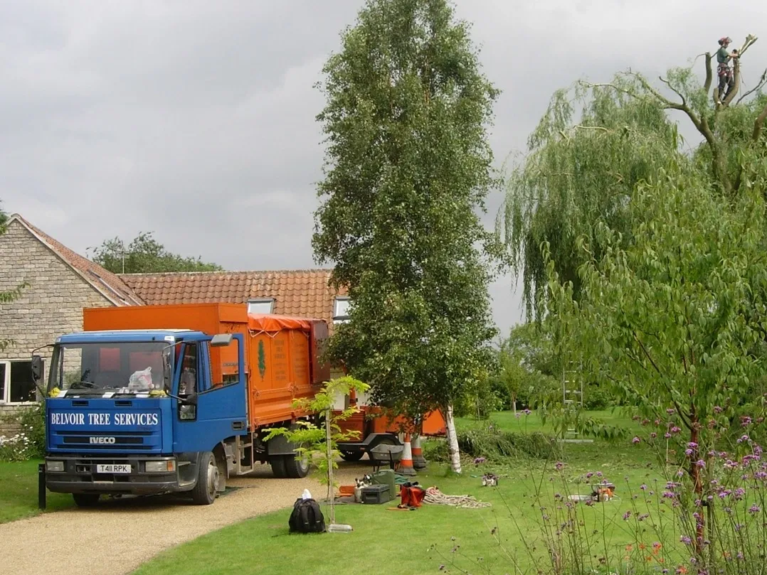 Belvoir Tree Services